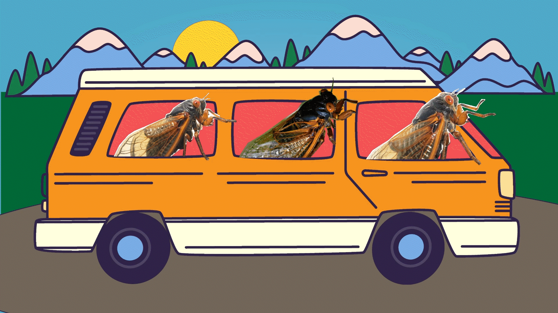 gif of cicada in a van