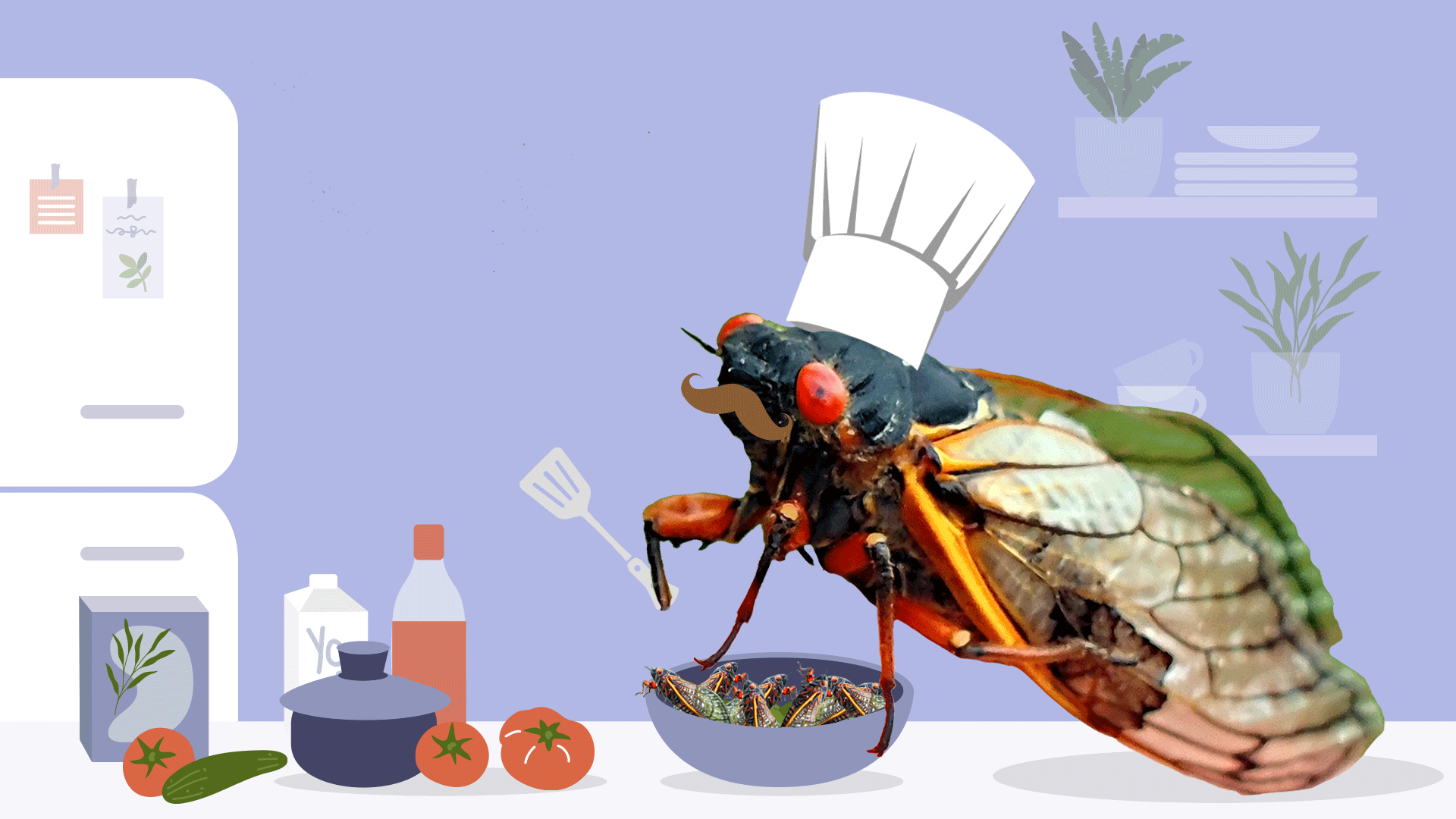 Photo illustration of a cicada wearing a chef hat
